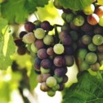 2025196期开奖号码公布最新结果查询 0v3qk9k1fm