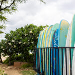 2025206期开奖号码查询与最新结果公布 1n4rtpw