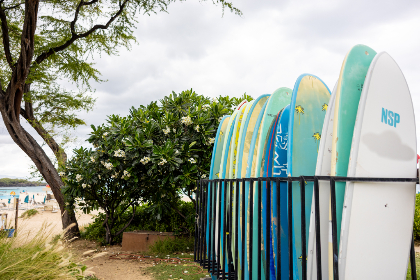 2025206期开奖号码查询与最新结果公布