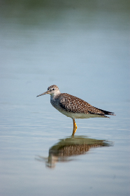 2025172期开奖号码正式公布,最新结果揭晓