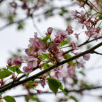 2025191期开奖号码最新公布与结果查询 8cm96y94