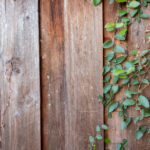 477777开奖现场最新结果震撼揭晓 8hroh927d