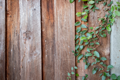 477777开奖现场最新结果震撼揭晓