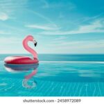 2025215期开奖结果最新公布与详细解析 d5sif7