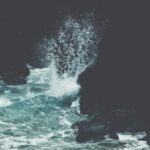 2025198期最新开奖结果查询与中奖号码公布 djf5lc