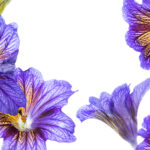 473期开奖前后关联分析与趋势预测 h9wl501