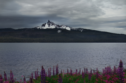 462期开奖前后号码走势深度解析