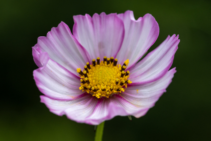 2025235期开奖结果公布最新中奖号码揭晓