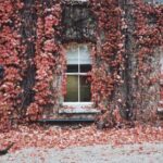 2025232期3D开奖结果最新公布,快来看看你中奖了吗? v4vw1v8