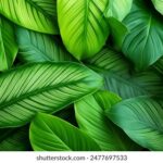 2025193期3D开奖号码结果查询与开奖详情 vxgju7